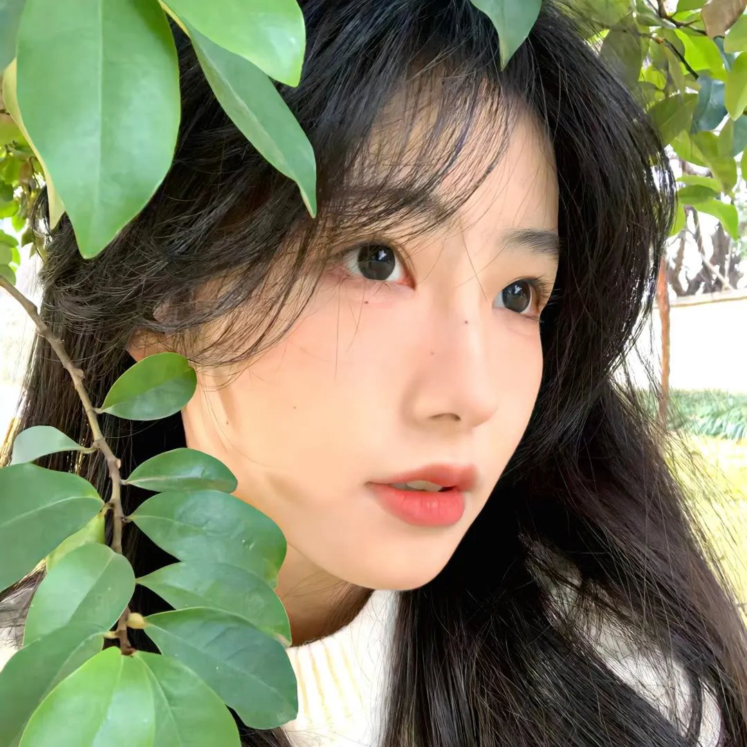 冰海异种