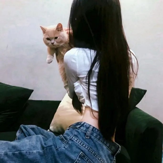 彩色的小路