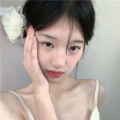 盗贼生涯